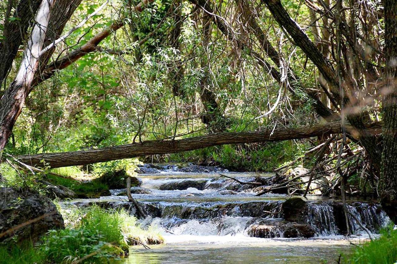 Гостевой дом Encinar De Aguas Blancas Дудар Экстерьер фото